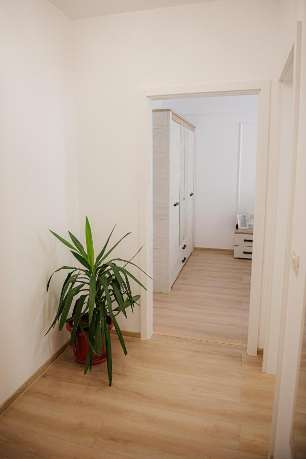 Modern Apartment In Timisoara Exterior photo